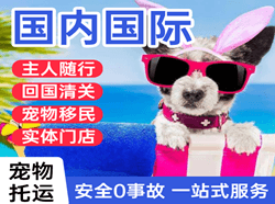 海口机场物流国际宠物托运 【国